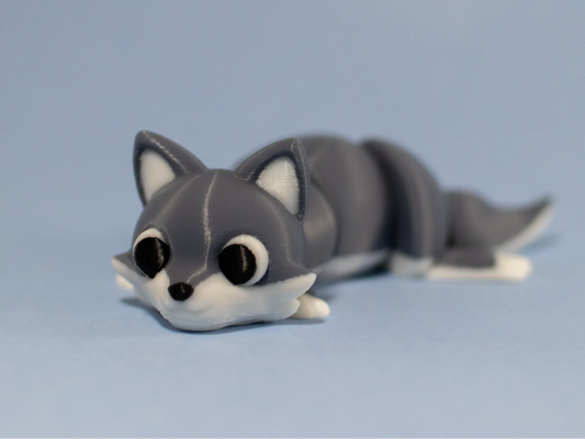 Racoon Pocket Pet
