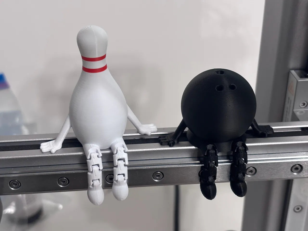 Bowling Ball & Pin Buddy