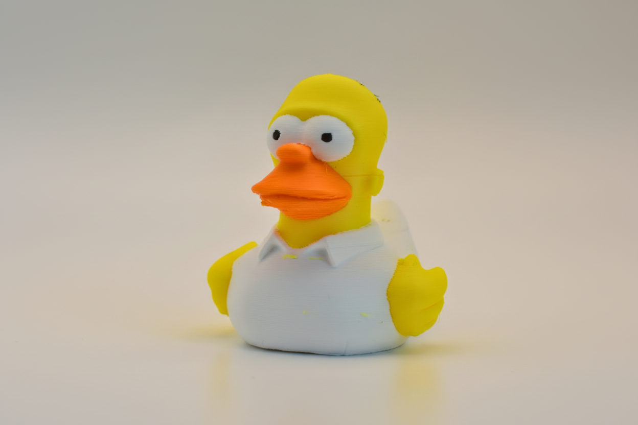 Homer Duck