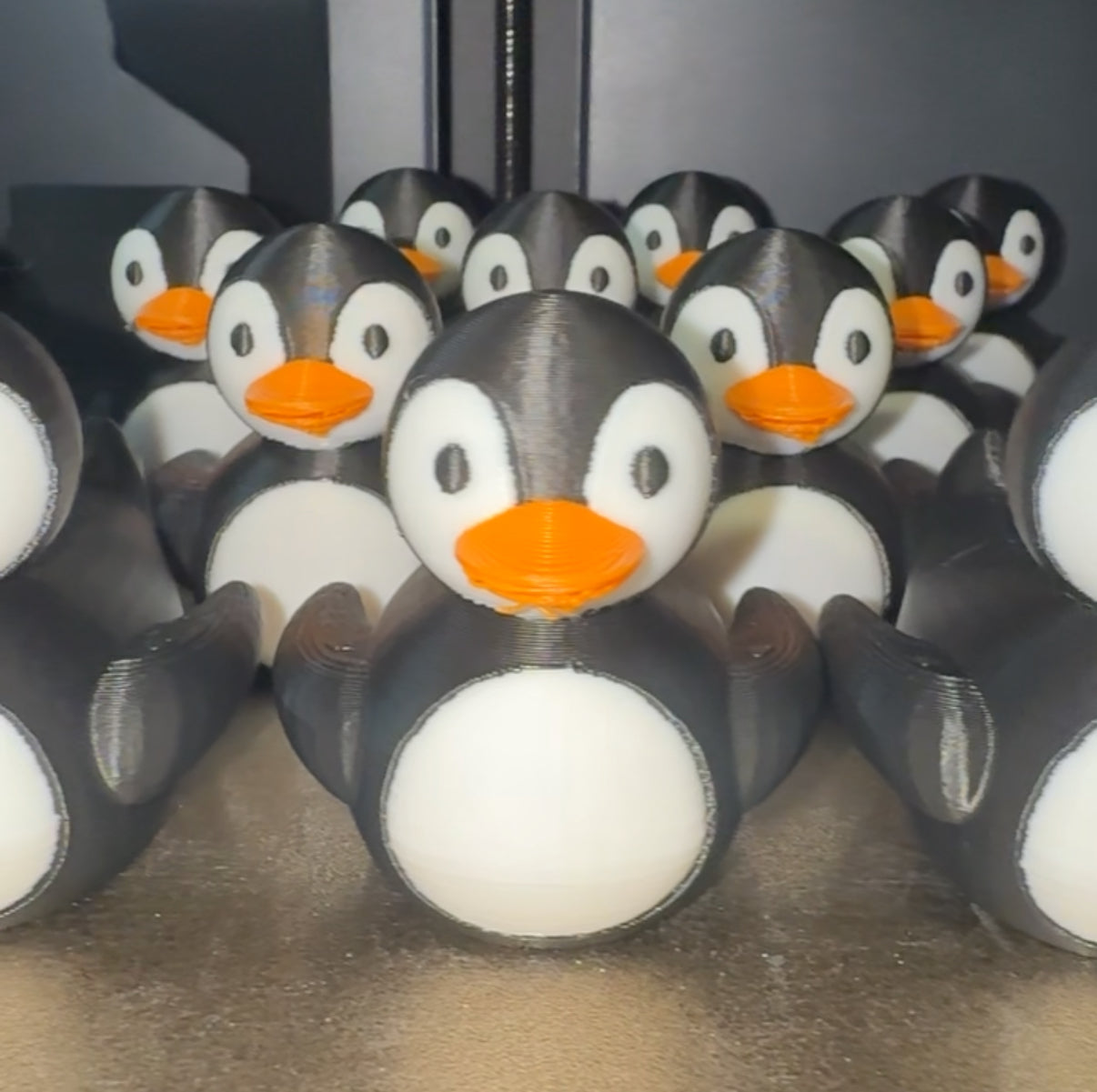 Penguin Duck