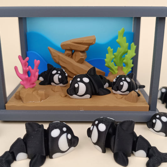 Killer Whale Pocket Pet