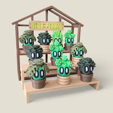 Blob Plant in Pot