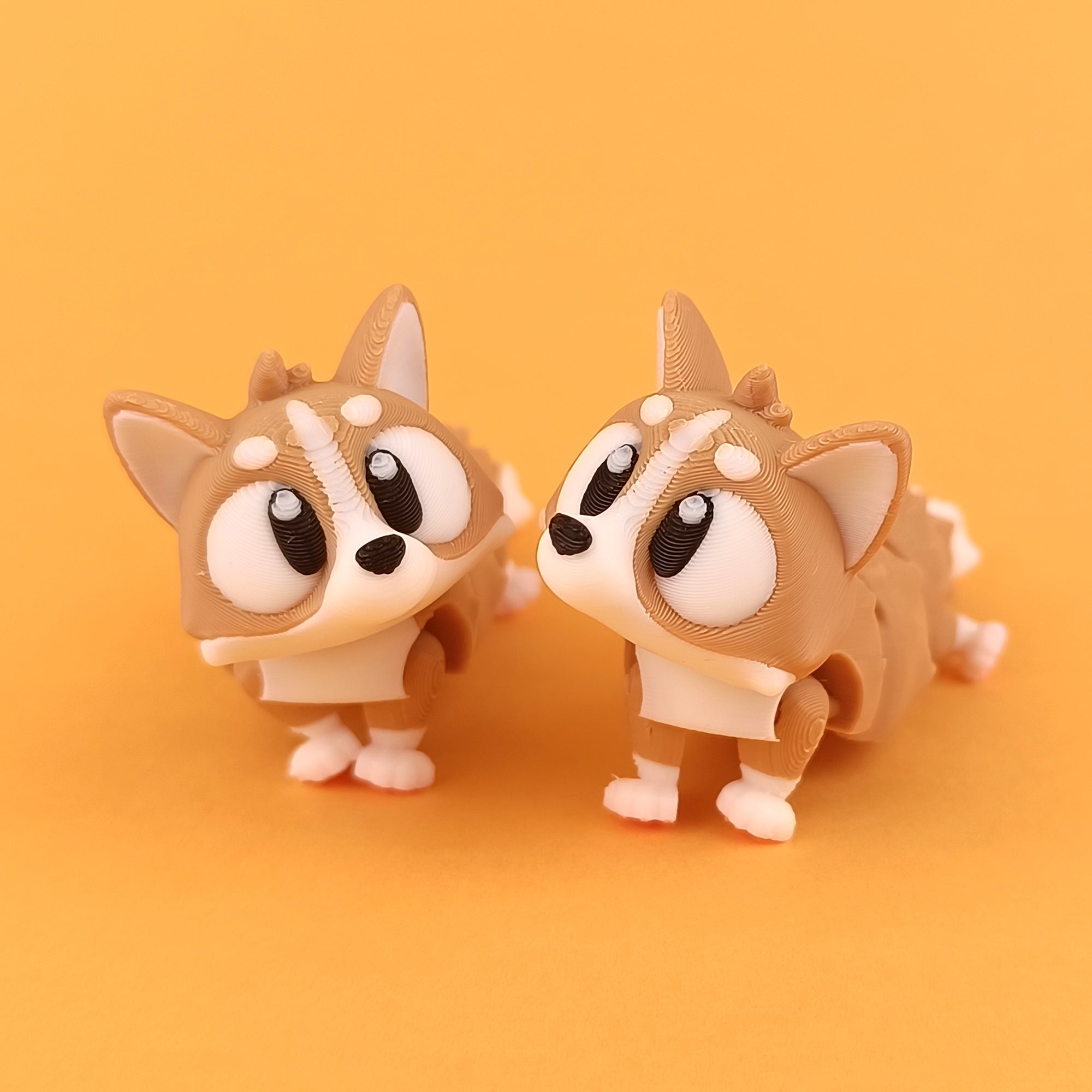 Corgi Pocket Pet