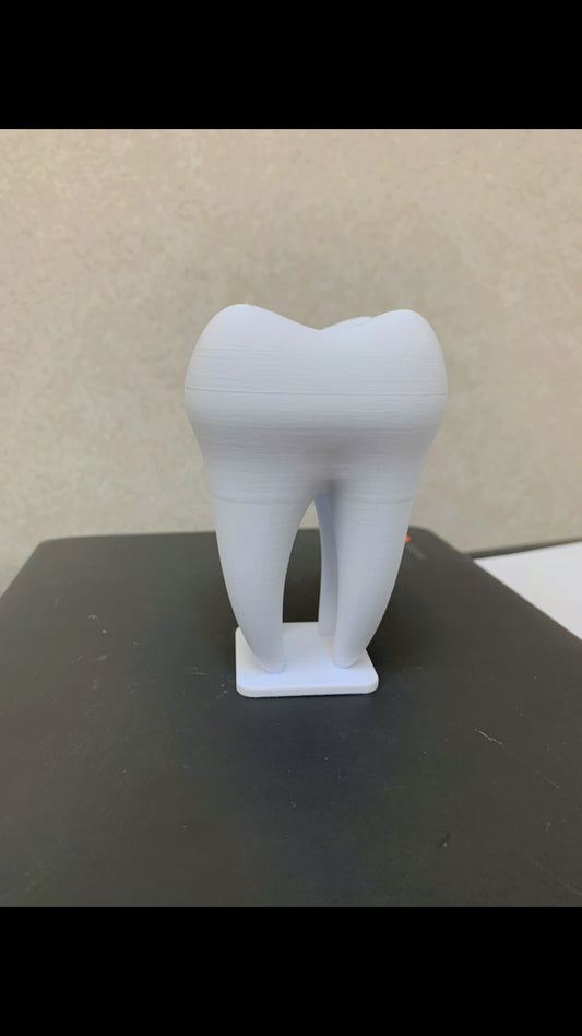 Tooth-Shaped Business Card Holder
