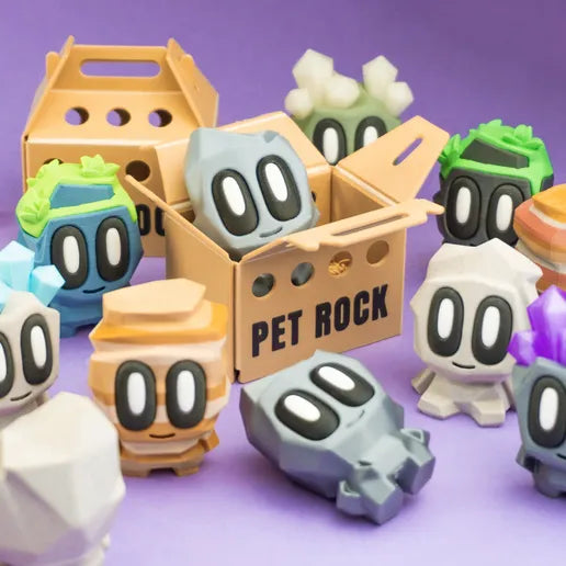 Pet Rock with Carrier