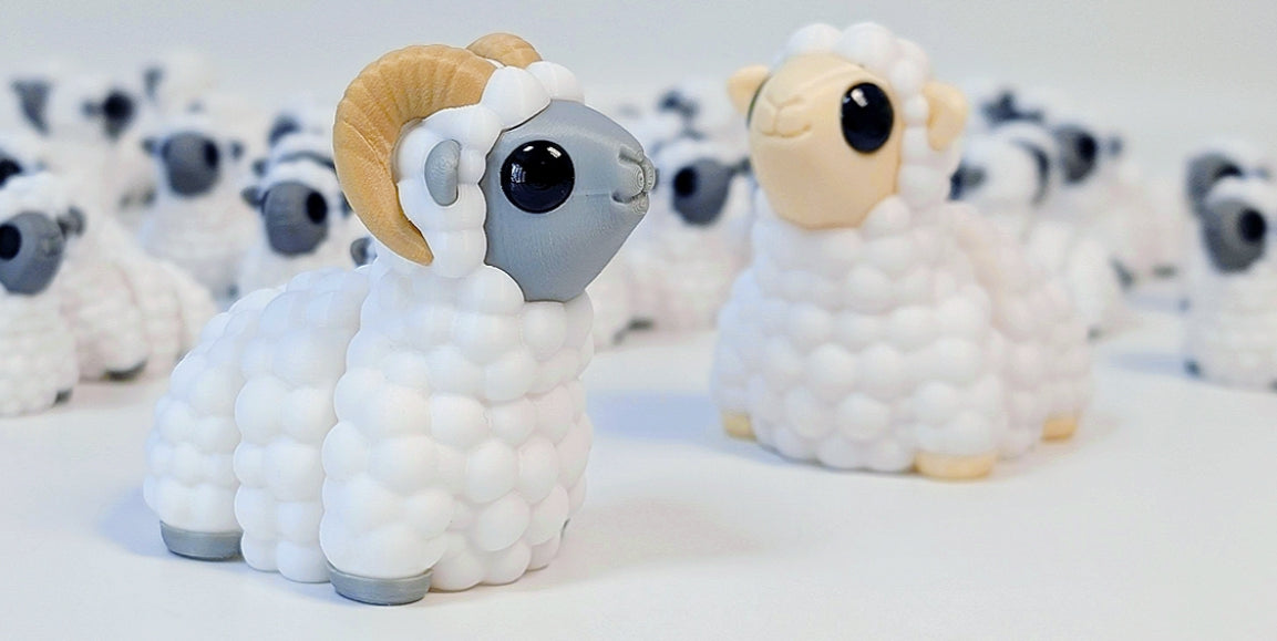 Ram Pocket Pet