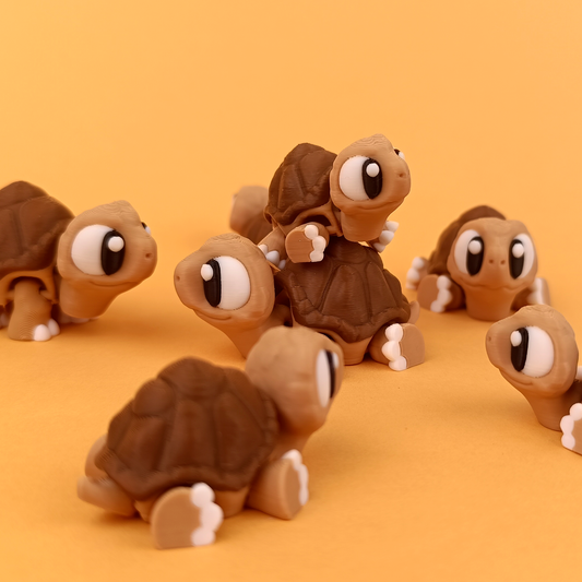 Tortoise Pocket Pet